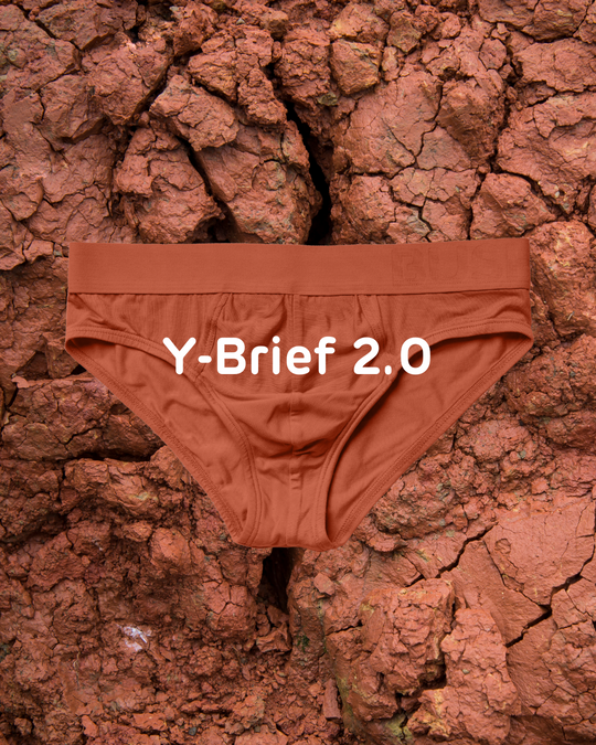 Y-Brief 2.0